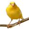 survivalmonkey.com warrant canary